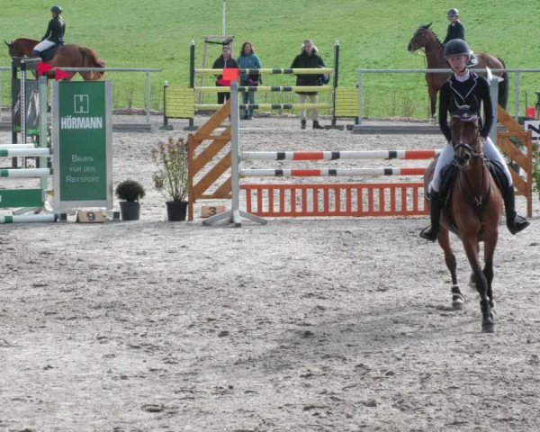 Reitturnier Herrenberg 2022