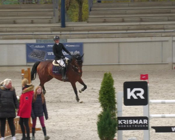 Reitturnier Aachen-Soers 2022