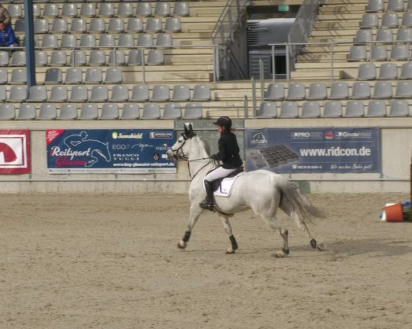 Reitturnier Aachen-Soers 2022