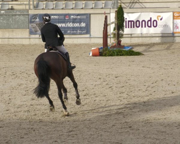 Reitturnier Aachen-Soers 2022