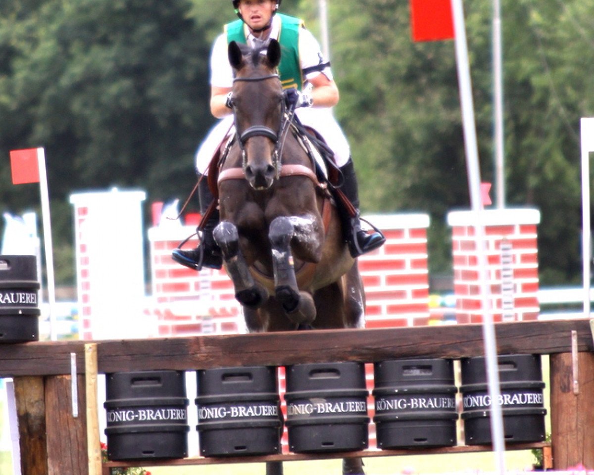 broodmare fischerRocana FST (German Sport Horse, 2005, from Ituango xx)