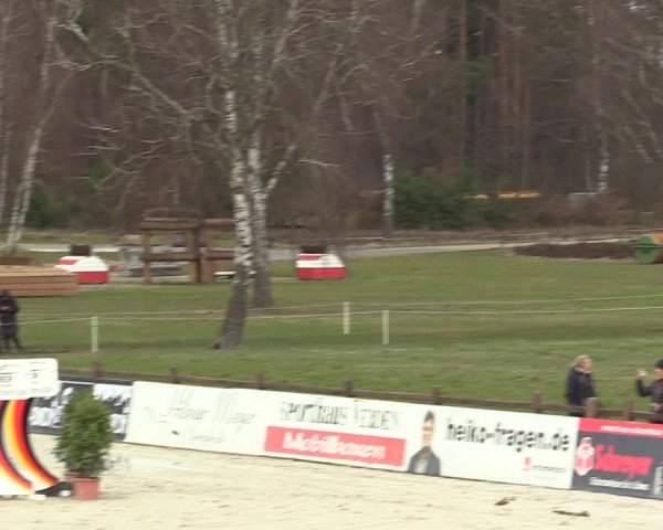 Reitturnier Westergellersen 2022