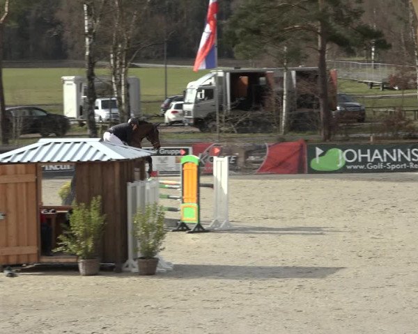 Reitturnier Westergellersen 2022