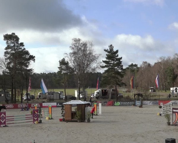 Reitturnier Westergellersen 2022