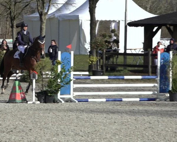 Reitturnier Elmlohe 2022