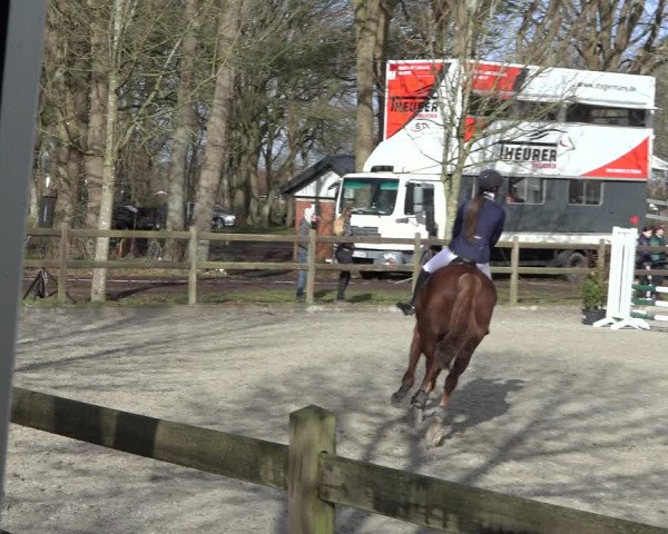 Reitturnier Elmlohe 2022