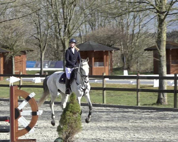 Reitturnier Elmlohe 2022