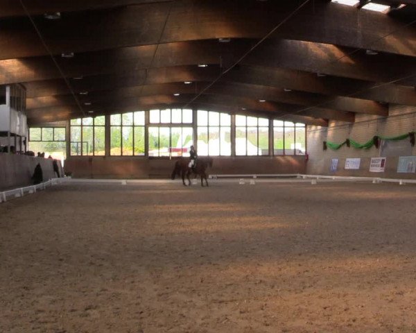 Reitturnier Leverkusen-Rheindorf 2022