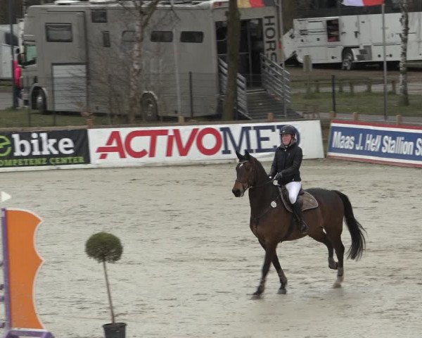 Reitturnier Westergellersen 2022