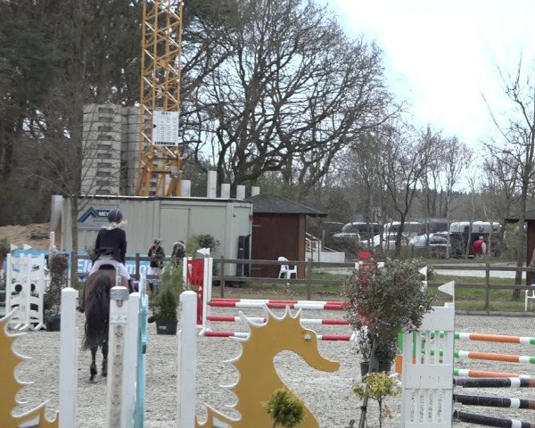 Reitturnier Elmlohe 2022