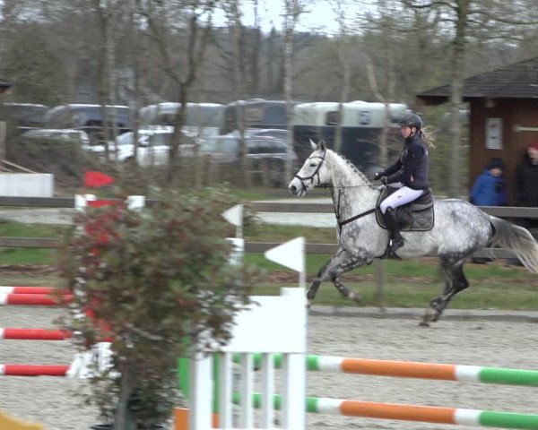 Reitturnier Elmlohe 2022