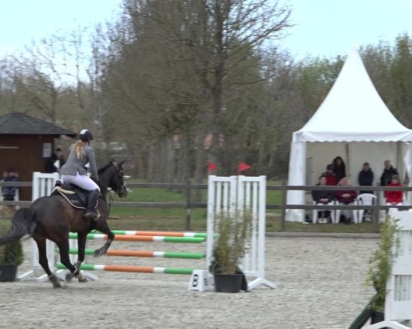 Reitturnier Elmlohe 2022