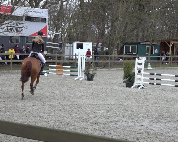 Reitturnier Elmlohe 2022