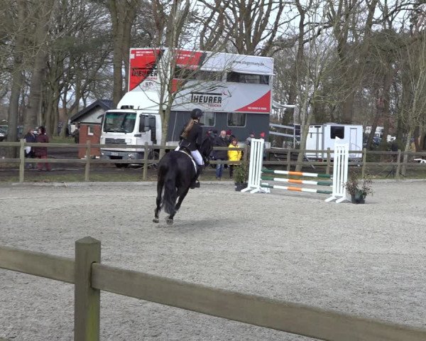 Reitturnier Elmlohe 2022
