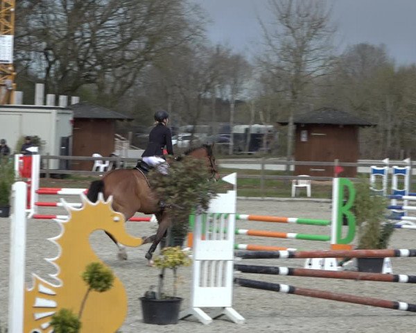 Reitturnier Elmlohe 2022