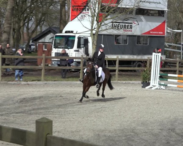 Reitturnier Elmlohe 2022