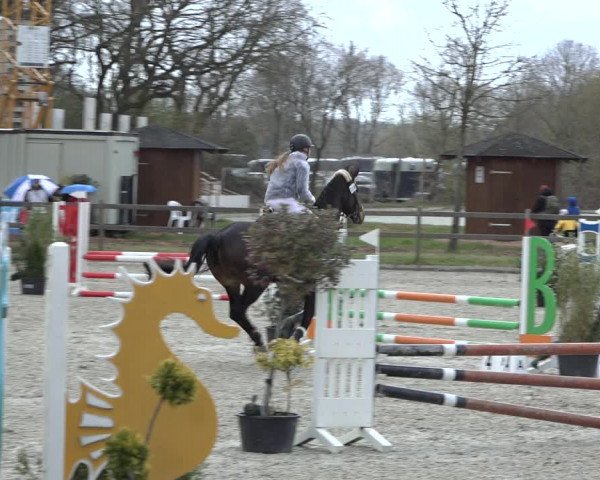 Reitturnier Elmlohe 2022