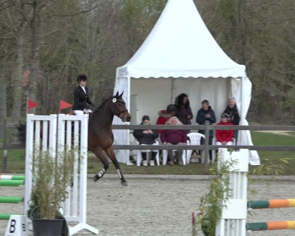 Reitturnier Elmlohe 2022