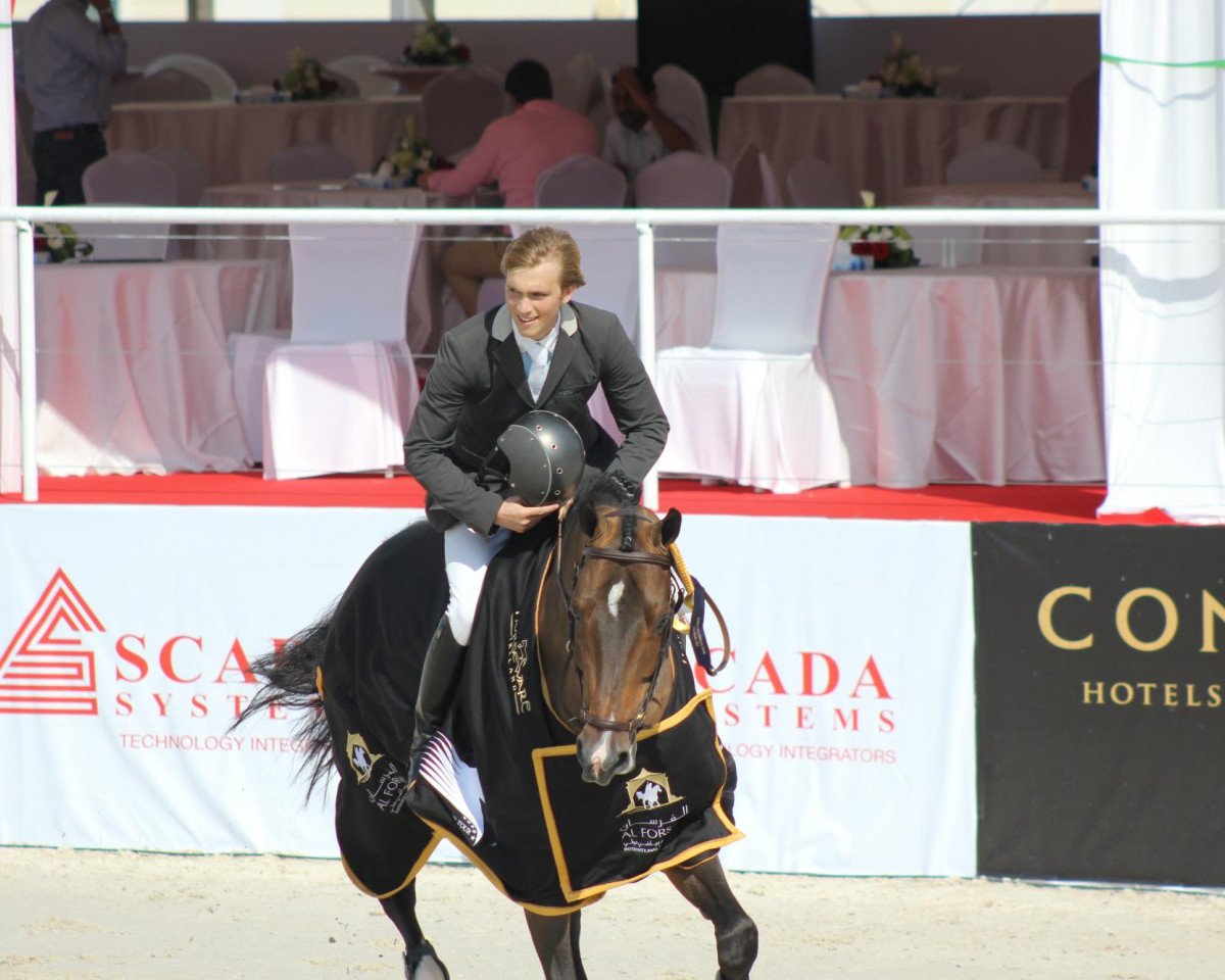 stallion Le Roi 10 (German Warmblood, 2002, from Lagrain)