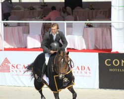 stallion Le Roi 10 (German Sport Horse, 2002, from Lagrain)