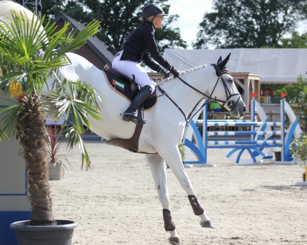 Springpferd Inja May (Württemberger, 2003, von Imparo)