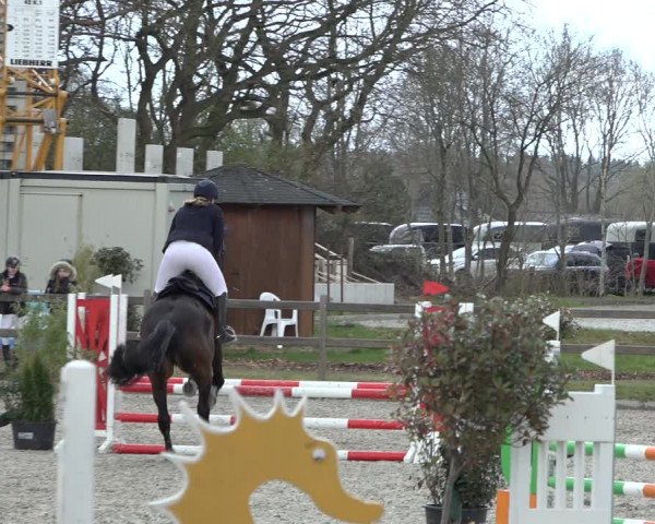 Reitturnier Elmlohe 2022