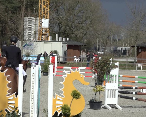 Reitturnier Elmlohe 2022