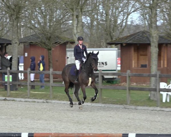 Reitturnier Elmlohe 2022