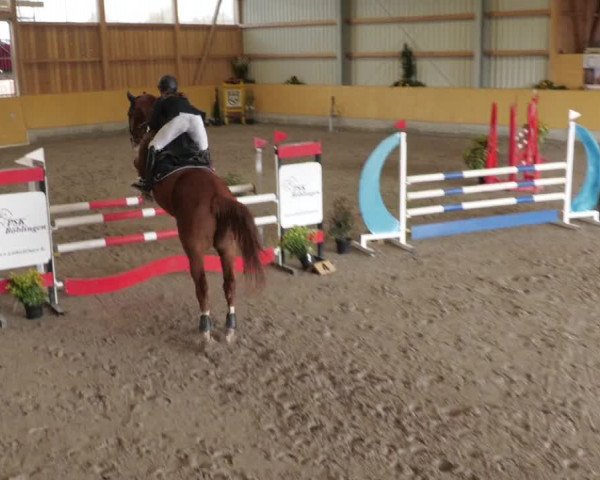 Reitturnier Herrenberg 2022