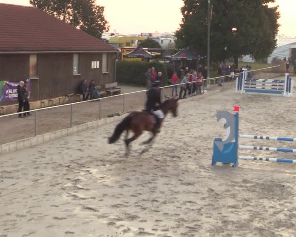 Springreitturnier Hohburg 2021
