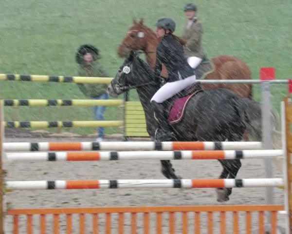 Reitturnier Herrenberg 2022