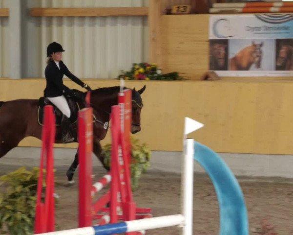 Reitturnier Herrenberg 2022