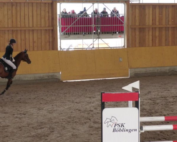 Reitturnier Herrenberg 2022