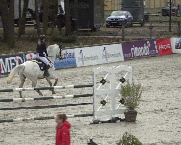Reitturnier Westergellersen 2022