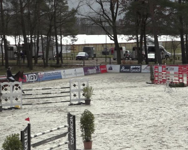 Reitturnier Westergellersen 2022