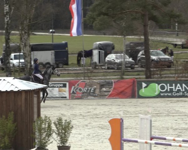 Reitturnier Westergellersen 2022