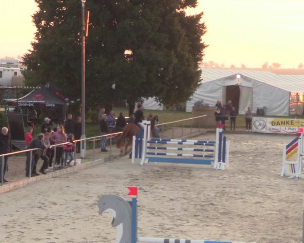 Springreitturnier Hohburg 2021