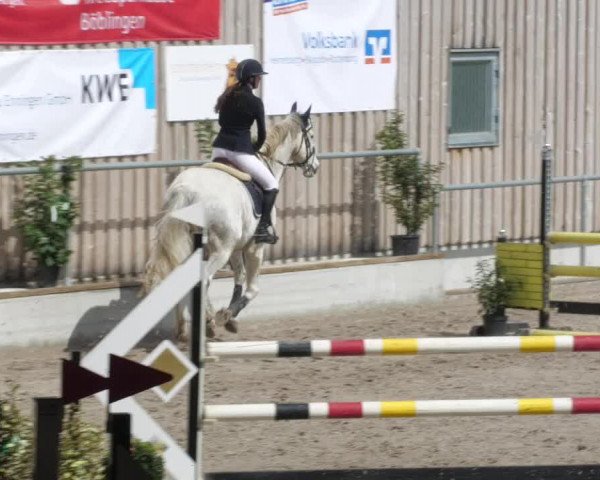 Reitturnier Herrenberg 2022