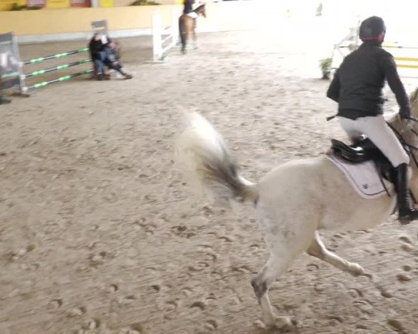 Reitturnier Herrenberg 2022