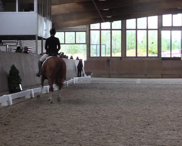 Reitturnier Leverkusen-Rheindorf 2022
