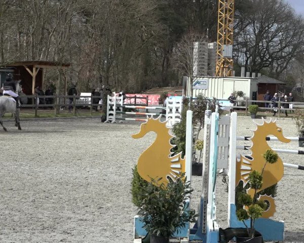 Reitturnier Elmlohe 2022