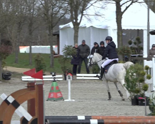 Reitturnier Elmlohe 2022