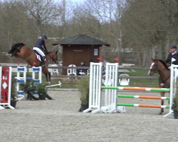 Reitturnier Elmlohe 2022