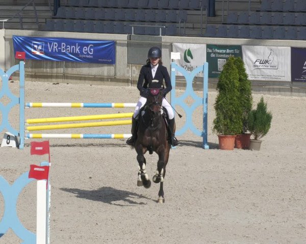 Reitturnier Aachen-Soers 2022