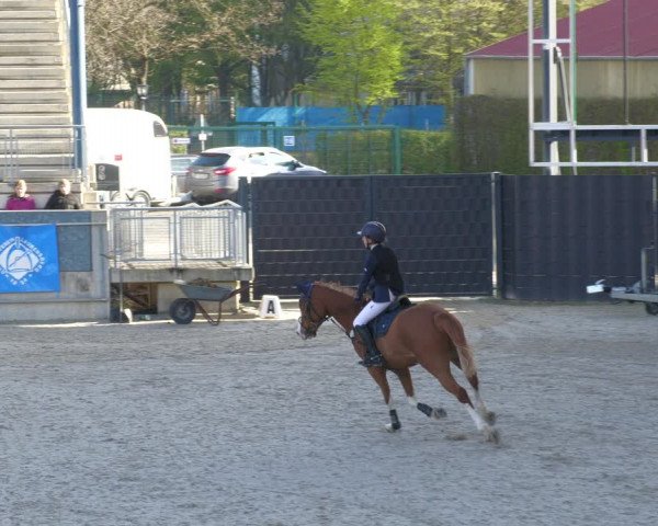 Reitturnier Aachen-Soers 2022