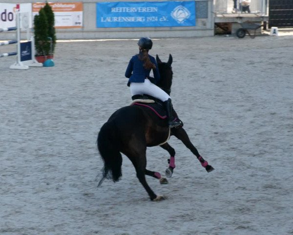 Reitturnier Aachen-Soers 2022