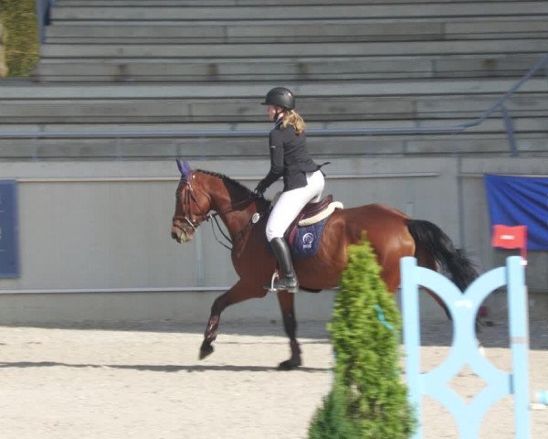 Reitturnier Aachen-Soers 2022