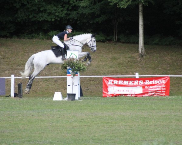 jumper Renoir 160 (Westphalian, 1998, from Rigaud)