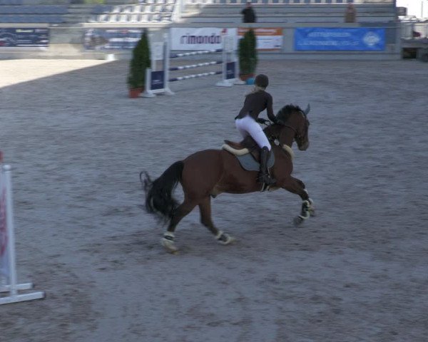 Reitturnier Aachen-Soers 2022