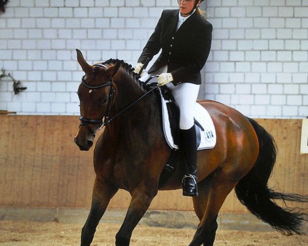 dressage horse Fleur G (Westphalian, 2005, from Florestan I)